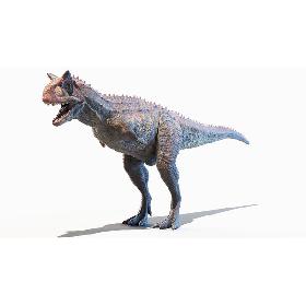 Carnotaurus 3D model